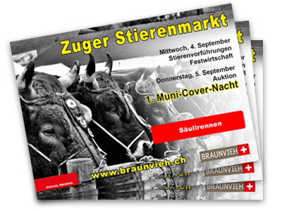 400x300_stierenmarkt-flyer-2024