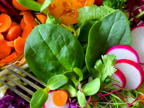 salat-frische